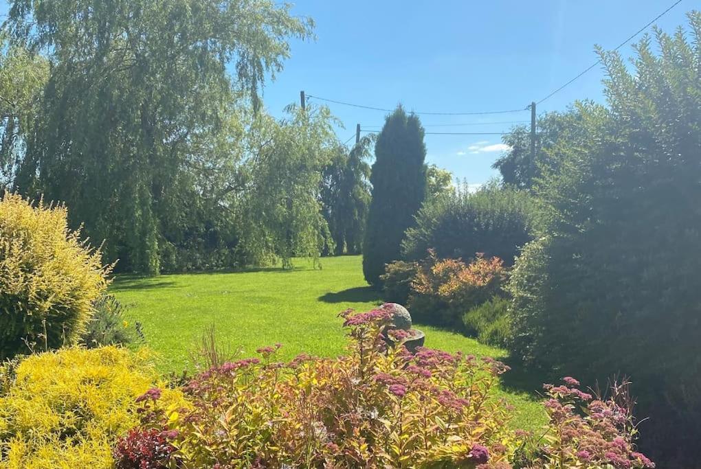 Adorable Cabin In The Countryside Port Laoise Bagian luar foto