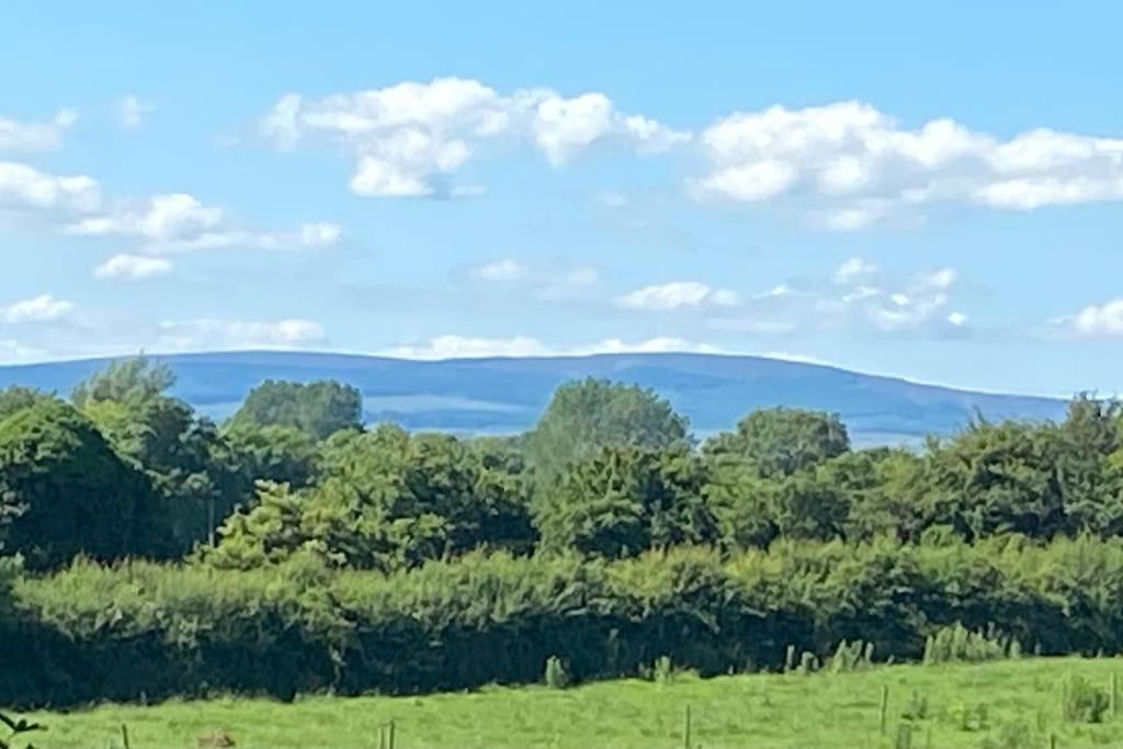 Adorable Cabin In The Countryside Port Laoise Bagian luar foto