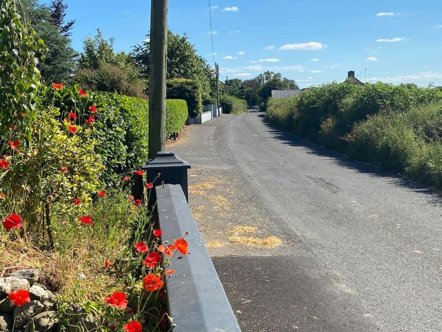 Adorable Cabin In The Countryside Port Laoise Bagian luar foto